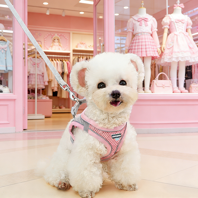 狗狗用牵引绳小型犬外出遛狗绳雪纳瑞泰迪出行专用透气宠物防跑绳