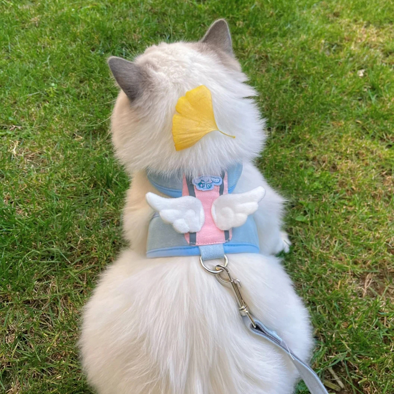 猫咪牵引绳可调节防挣脱遛猫绳卡通栓猫绳布偶猫幼猫小猫外出专用