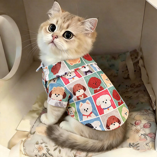小猫衣服薄款幼猫夏天防掉毛猫咪金渐层潮酷透气按扣式百狗图衬衫