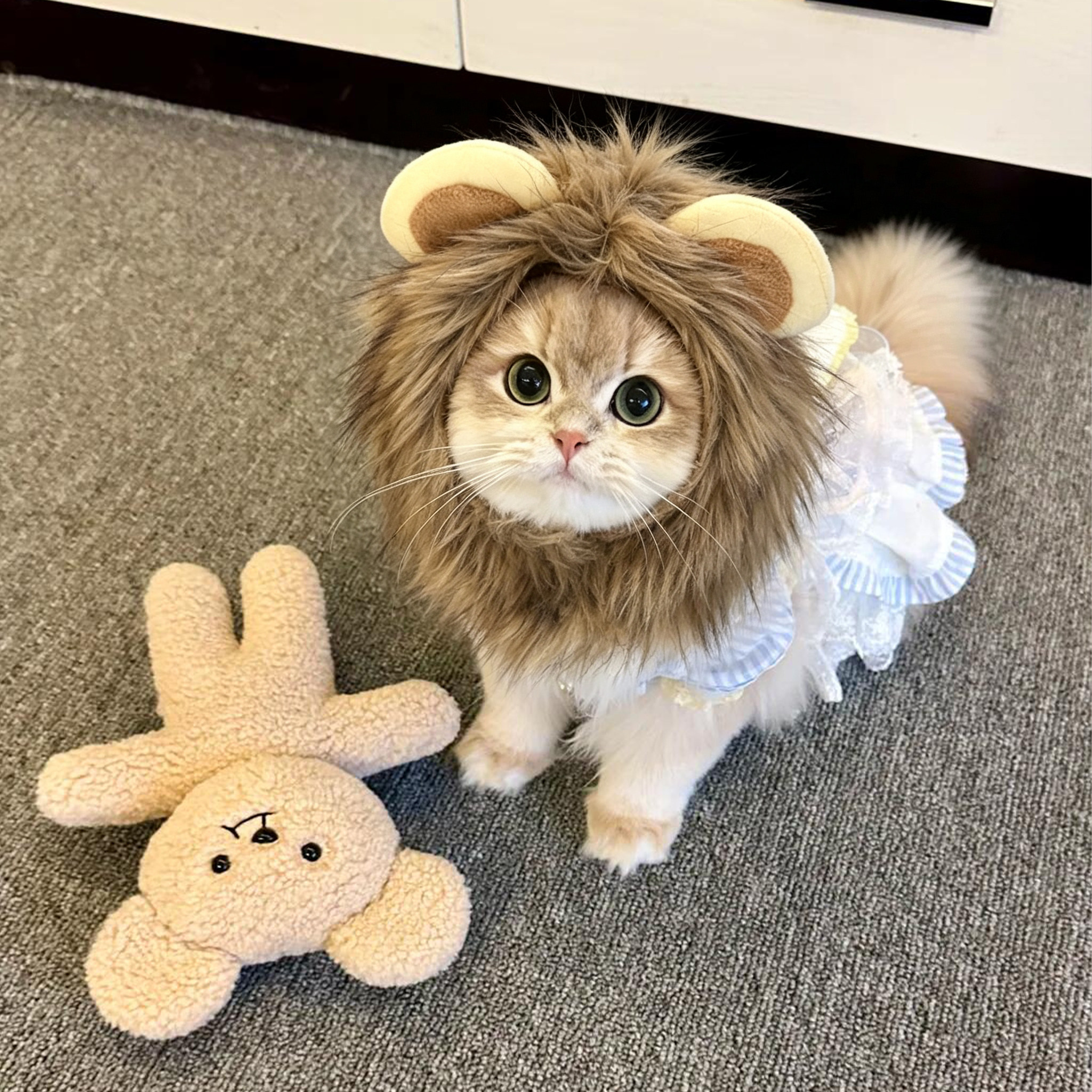 猫咪帽子可爱狮子毛绒保暖帽猫咪变身头套宠物变装造型帽拍照道具图片