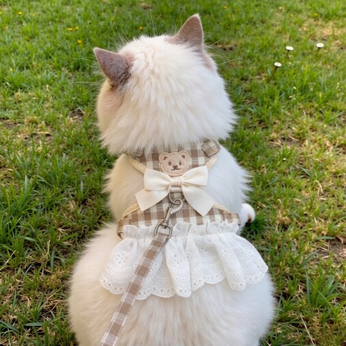 猫咪牵引绳防挣脱遛猫绳子外出幼猫布偶猫可调节格子胸背裙高颜值