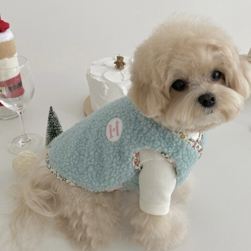 狗狗衣服冬季外出保暖防寒网红绒背心居家马尔济斯可爱马甲两脚衣