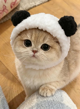 可爱熊猫耳朵猫咪头套帽子毛绒绒装扮用品金渐层小奶猫配饰布偶猫