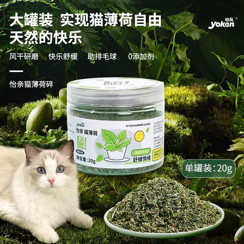 怡亲猫薄荷球猫咪零食猫饼干可食用去毛球猫草用品幼猫化毛猫零食,宠物/宠物食品及用品,猫薄荷/木天蓼,淘宝优惠券,粉丝福利购,淘宝优惠卷