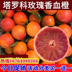 玫瑰血橙苗 玫瑰香橙树苗 橙子苗 万州玫瑰香橙盆栽地栽当年结果