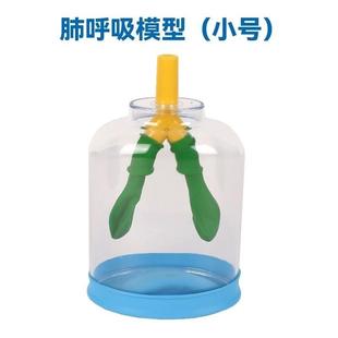 肺呼吸模拟器人体器官物膈肌运动呼吸器模型摆件创意手工课