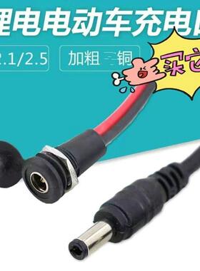 通用电源接口DC-022X锂电池电动自行车充电线XH2.54电插头5525