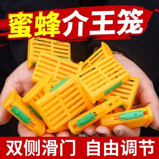 多功能囚王笼塑料防逃工具中意蜂专用介王笼装蜂王储王器隔王工具