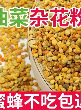 多采蜜蜜蜂花粉喂蜂饲料包邮