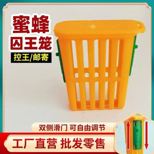 多功能意蜂中蜂王笼塑料囚王笼储台器介王器养蜂蜂具隔王防逃王龙