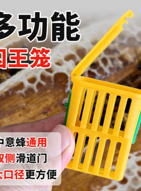 新型中意蜂通用王笼囚王困蜂王关王介王工具大口径邮寄防飞逃分蜂