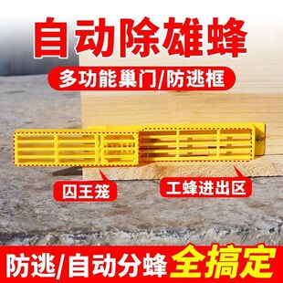 中蜂巢门除雄蜂防逃框多功能自动分蜂器带王笼防逃自动收王控制器