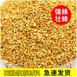 多采蜜喂蜂花粉五斤送礼品