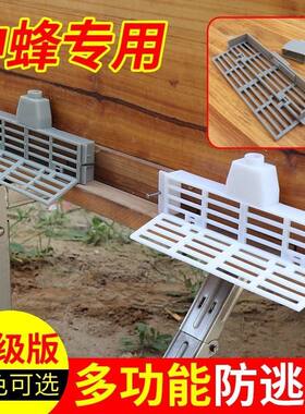蜜蜂防逃框蜂王防跑片多功能防盗蜂箱巢门隔王片中蜂专用养蜂工具