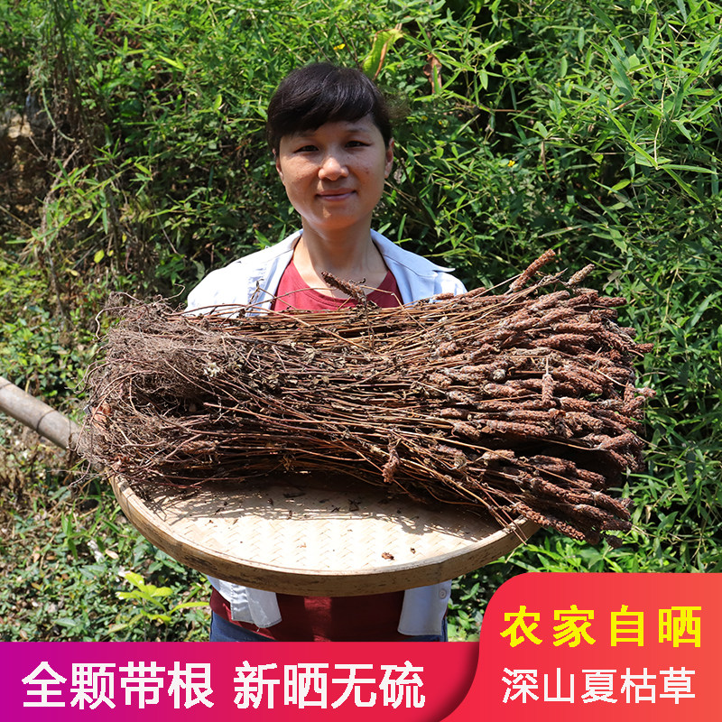 野生夏枯草干500g农家无硫全颗白毛夏谷姑菇农家新晒夏菇草蒲公英