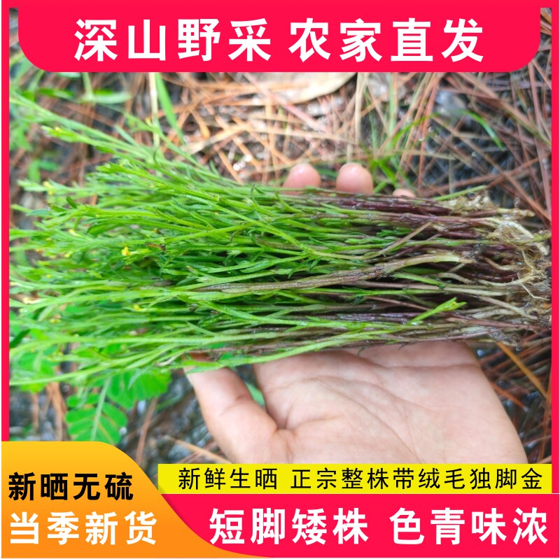野生独脚金疳积草独角金草独脚柑干草矮脚子黄花甘儿童炖汤料新货