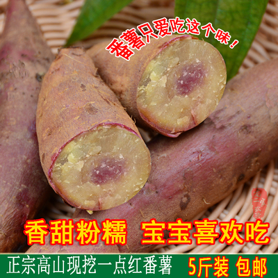 农家一点红番薯红薯粉甜板粟地瓜山芋新鲜甘薯PK天目小香薯5斤装