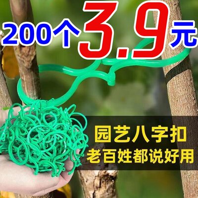 阳台固定夹多功能四季绿萝爬藤植物固定扣新款多功能园艺8字扣