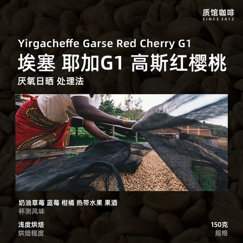耶加雪菲咖啡豆150g果香手冲水洗