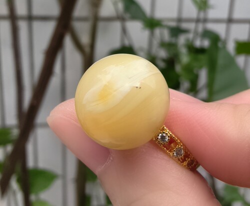 天然蜜蜡白蜡金珀戒指，不退换，退货勿拍