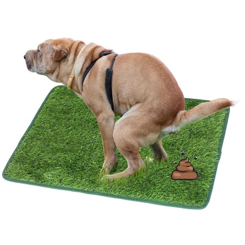 狗狗厕所草坪大小便仿真宠物大型犬