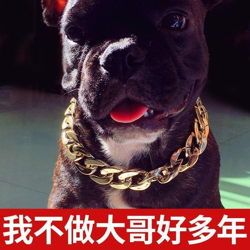 泰迪巴哥法斗狗狗金链子中小型犬项圈宠物项链饰品配饰挂件大金链