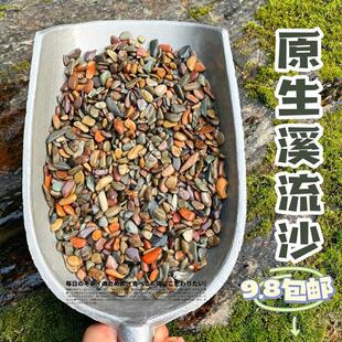 原生精品溪流沙鱼缸造景装饰铺底彩色河砂石乌龟古法缸鳑鲏虾虎