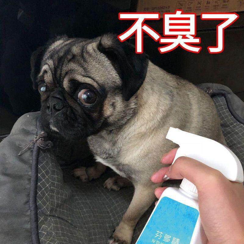 宠物消毒液狗狗猫咪除臭剂杀菌消毒室内去味狗猫去尿味除味剂喷雾