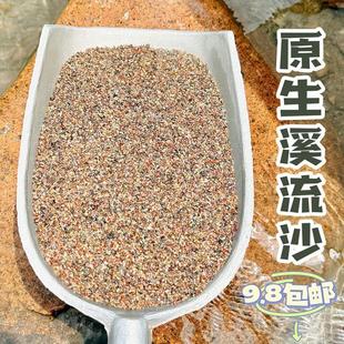 原生缸超细溪流沙造景装饰专用底部砂石子摆件天然雨林沙乌龟鳑鲏