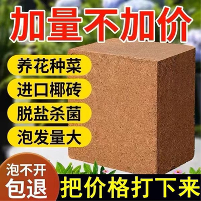 泡发9斤印度脱盐大椰砖椰土椰粉砖种菜无菌营养土绿萝土椰糠包邮
