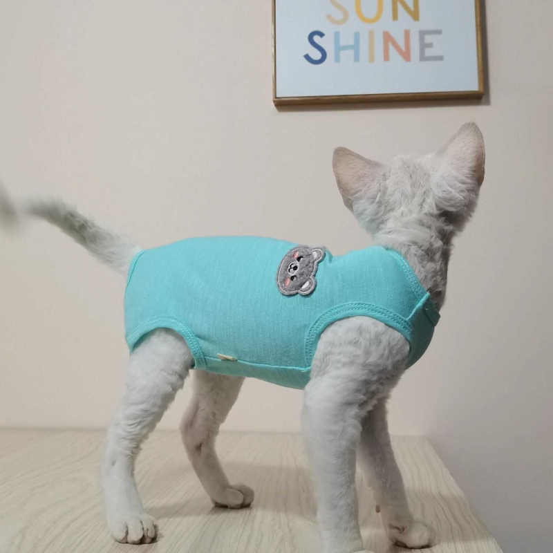 夏季薄款背心T恤四脚衣非纯棉透气小清新斯芬克斯无毛猫衣服防脱