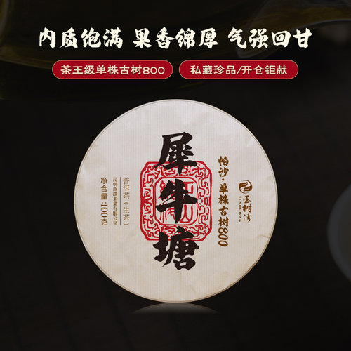 2016春帕沙犀牛塘茶王级单株古树