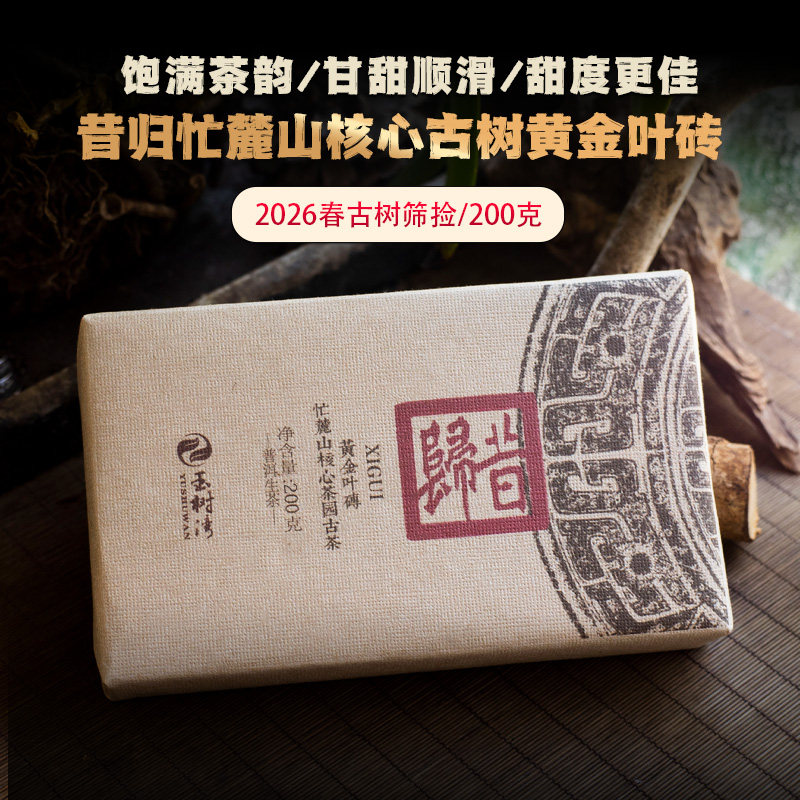 昔归古树黄金叶普洱生茶200g砖