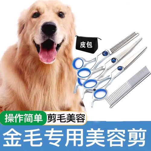 Золотой ретривер Специальные ножницы устанавливают домашние животные красоты