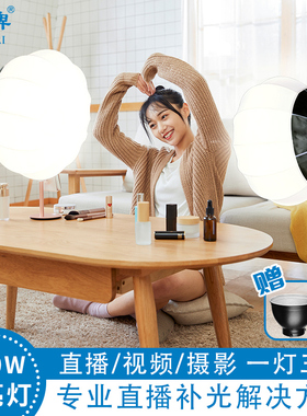 雁牌YP-150Z LED摄影灯儿童常亮灯视频直播柔光灯补光灯太阳灯