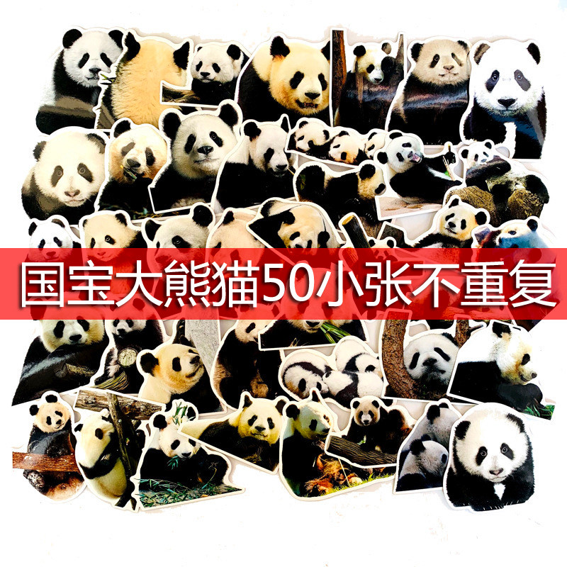 50张中国国宝逼真熊猫可爱表情包涂鸦贴行李箱pvc防水汽车贴纸