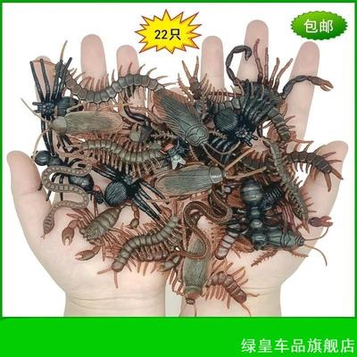 仿真昆虫动物玩具假蟑螂小强蝎子蜈蚣苍蝇壁虎蚯蚓蜘蛛蛇整蛊装饰