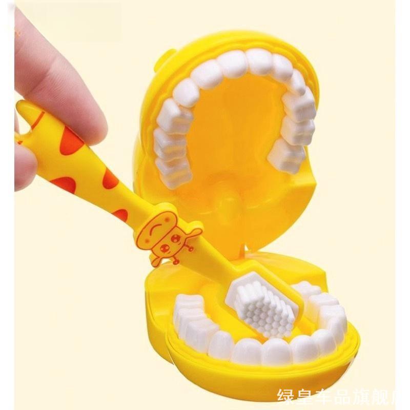 牙齿模型早教摆件学教具小朋友防蛀摸挤出游戏礼物