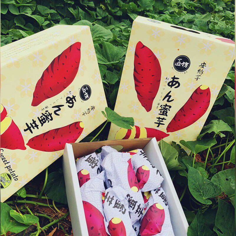 现货一口糖安纳芋板栗薯地瓜黄心红番薯进口品种粉糯甜软糯4.5斤