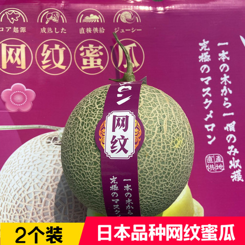 网纹蜜瓜2个装新鲜水果甜糯多汁