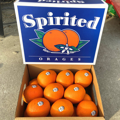 黑标3107脐橙8斤礼盒装甜嫩多汁