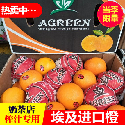 埃及进口橙子30斤整箱新鲜水果奶茶店榨汁专用南非新奇士甜脐橙
