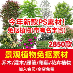 乔木灌木花草树绿植PS景观园林带名称立面植物PNG免抠效果图素材