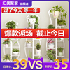 Showy multi-storey indoor Special Offer household balcony Shelf Iron art a living room space Flower pot Floor type Scindapsus