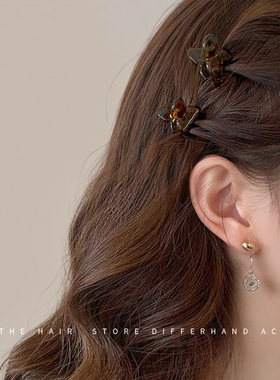 醋酸小号公主头抓夹女高级感2025新款侧边发夹前额碎发刘海夹发饰