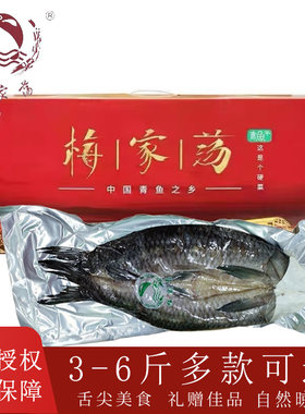 梅家荡螺蛳青鱼干腊鱼螺丝咸青鱼干风干咸鱼干干货整条礼盒装