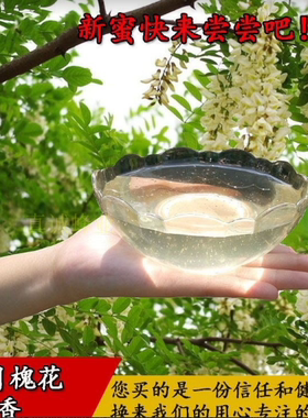 高品质纯洋槐蜜蜂蜜纯正天然农家自产野生槐花蜜刺槐蜜无添加500g