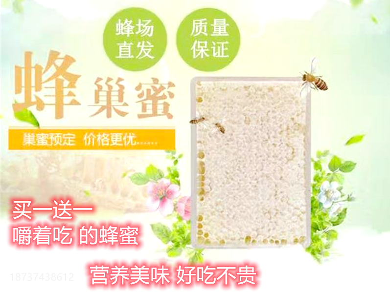 蜂巢蜜500g盒装嚼着吃的蜂蜜纯正农产品天然养蜂食品野生荆条巢蜜