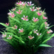 新仿真水草水族造景套餐假水草花装 饰水族箱塑料花草海草植物摆件