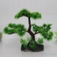 饰 仿真迎客松大小号松树假山山水盆景生态环保塑料鱼缸造景装 包邮
